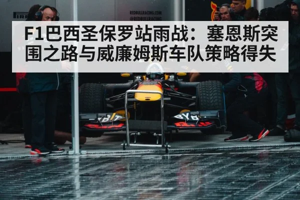 F1巴西圣保罗站雨战：塞恩斯突围之路与威廉姆斯车队策略得失